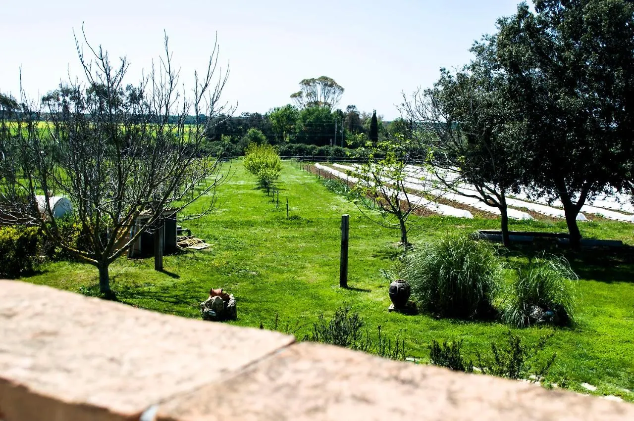 Villa Enli Capalbio Farm stay