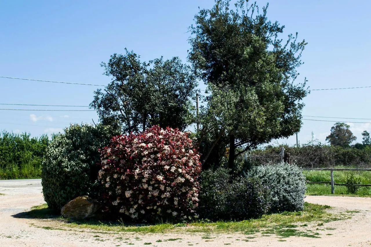 Villa Enli Capalbio Alloggio per agriturismo