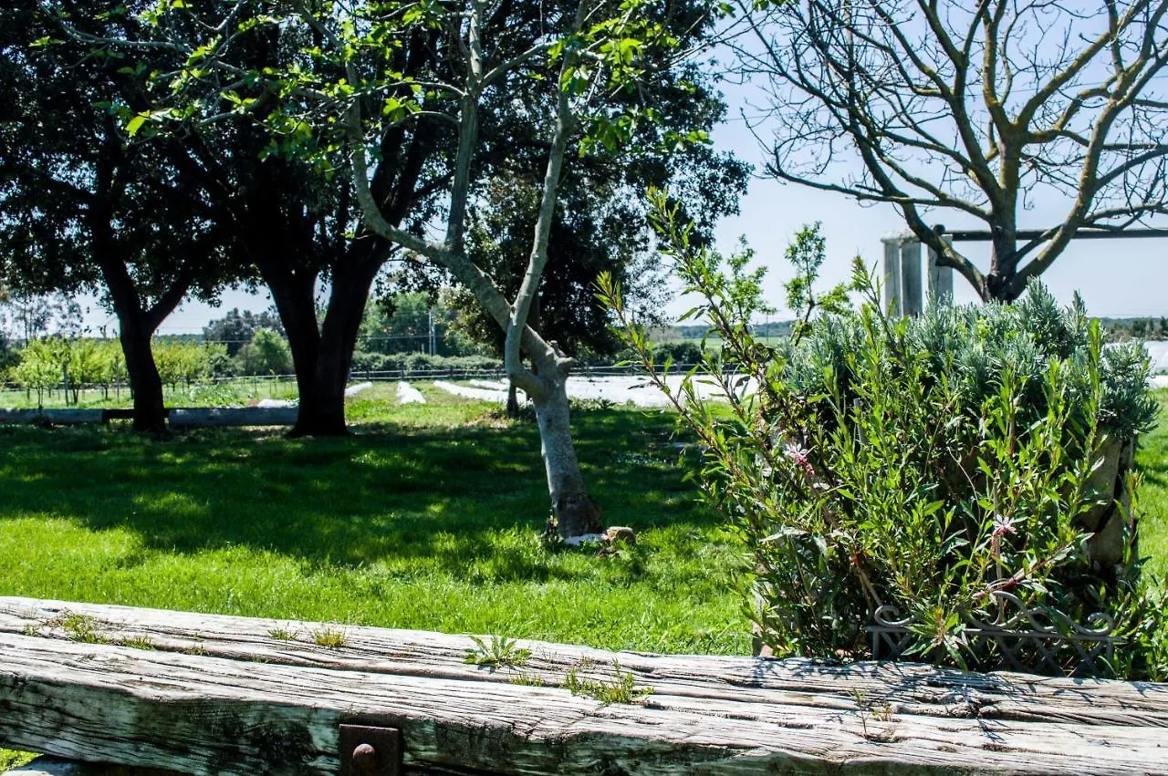 Villa Enli Capalbio Alloggio per agriturismo