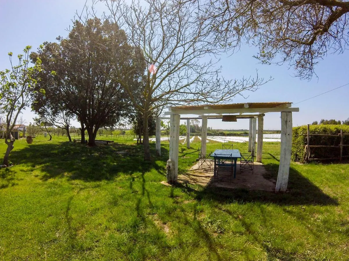 Villa Enli Capalbio Farm stay