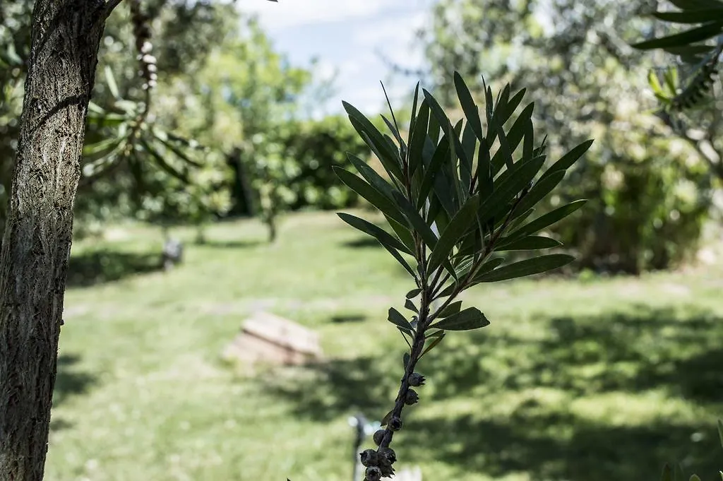 Farm stay Villa Enli Capalbio Italy