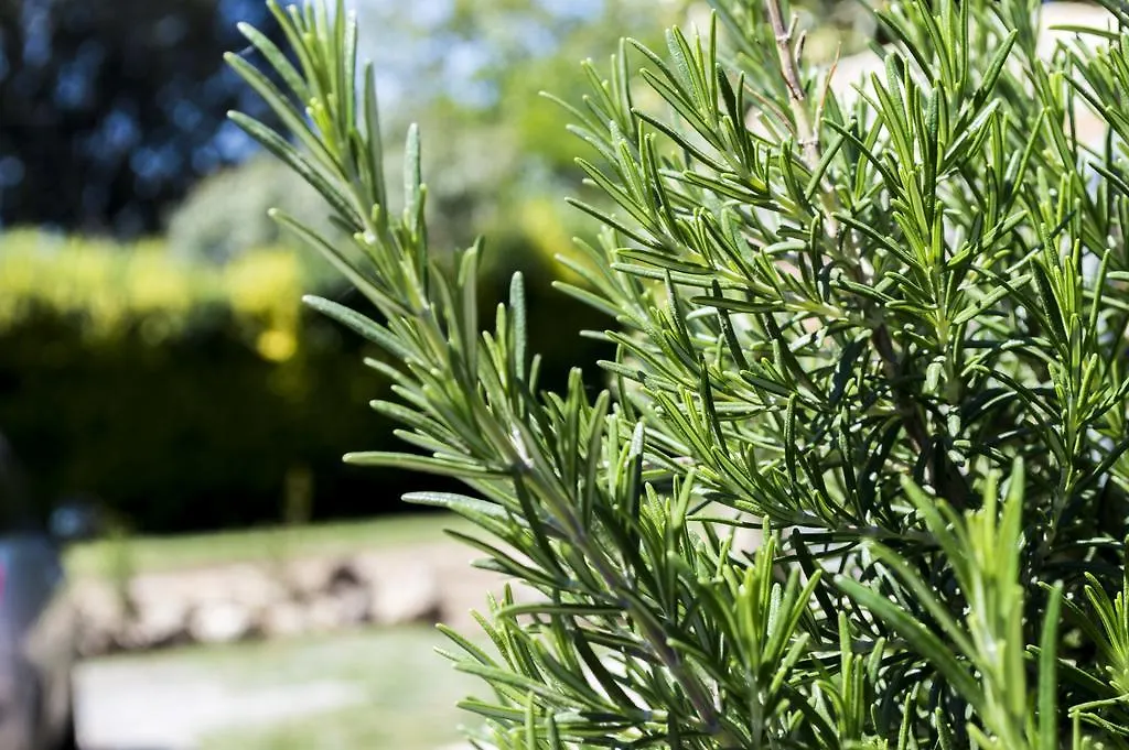 Farm stay Villa Enli Capalbio